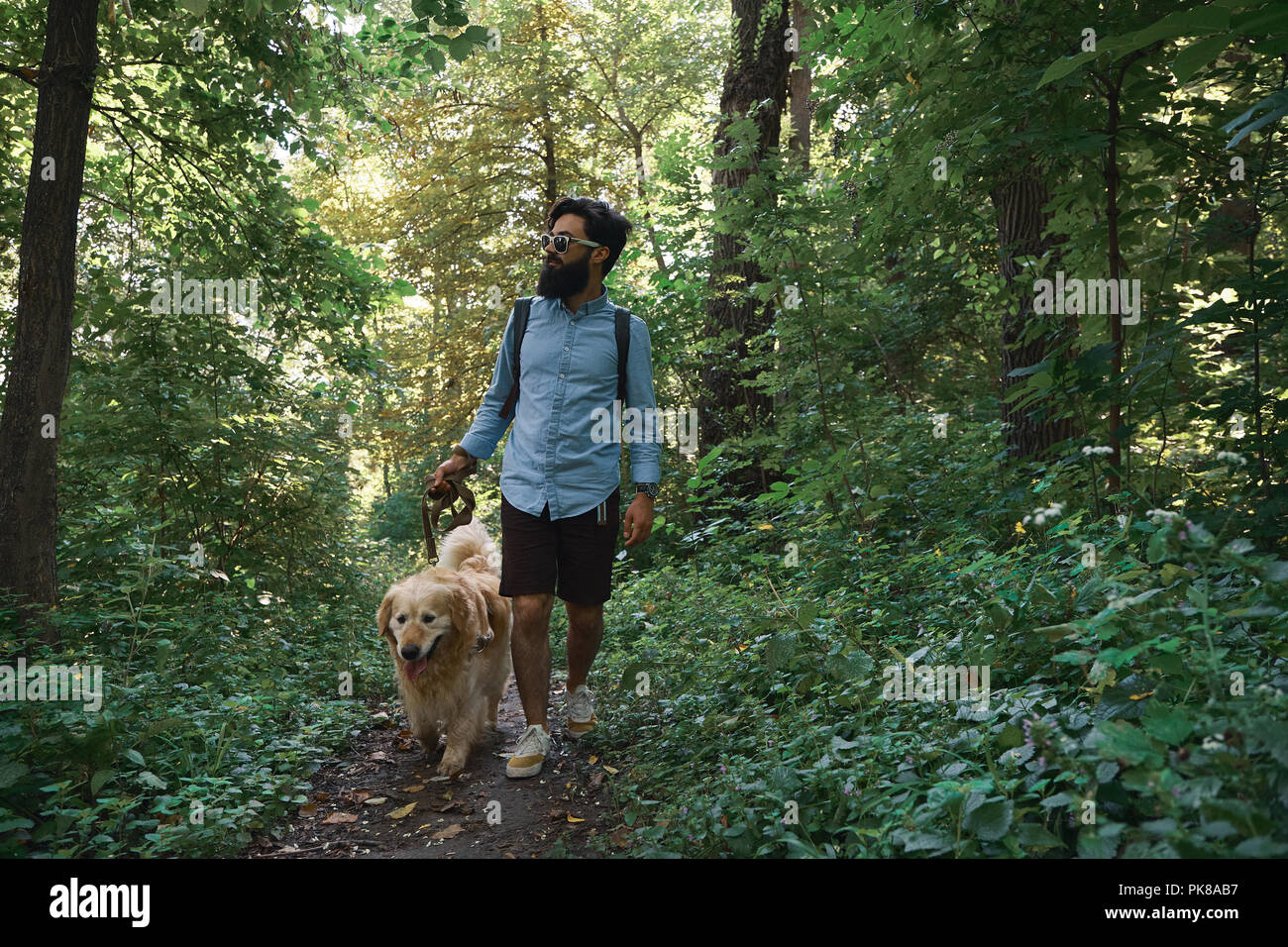 Schöner Mann seinen Hund im Wald einen Weg. Happy golden retriever Spaziergänge in der Nähe von seinen männlichen besten Freund Stockfoto