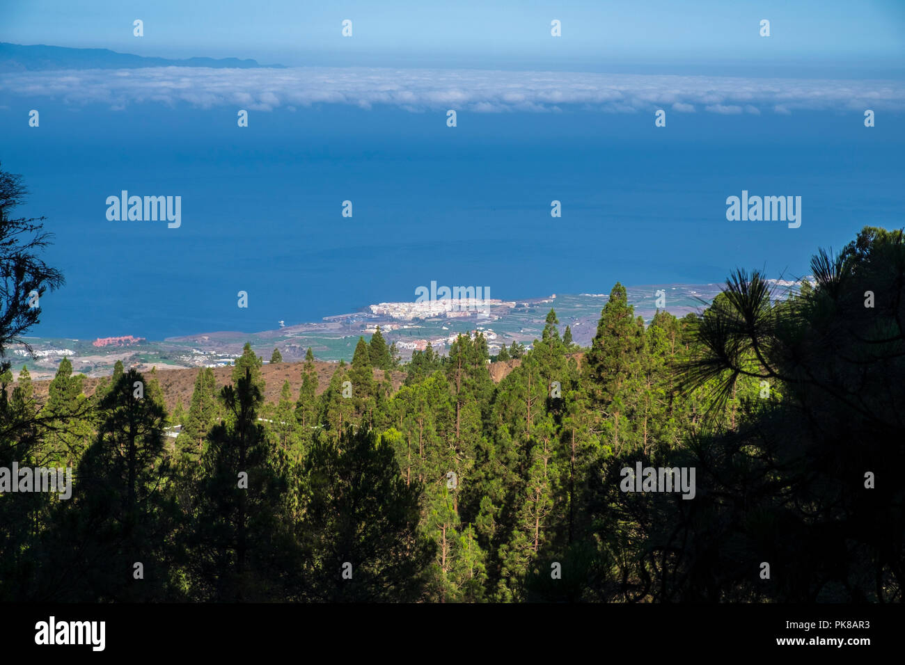 Westküste von Teneriffa Playa San Juan, und die Abama Resort an einem klaren Tag gesehen von etwa 1000 Meter über dem Meeresspiegel im Kiefernwald in der Nähe von tijoco Stockfoto