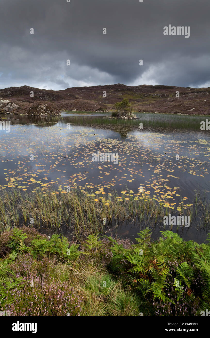 Dock Tarn oben Borrowdale, im englischen Lake District, Cumbria, Großbritannien Stockfoto