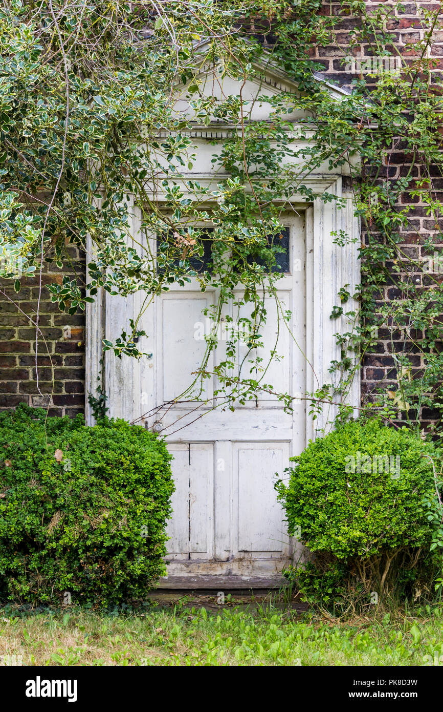Bäume und Sträucher wachsen rund um Tür auf Country House. Großbritannien Stockfoto
