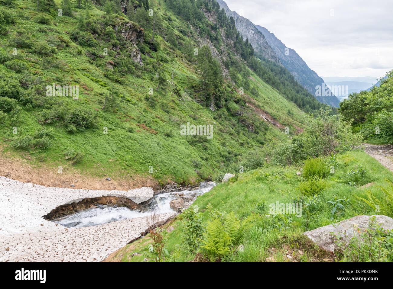 Bleibt der Eis- und Schneedecke über einem Bergbach im Sommer, Österreich Stockfoto