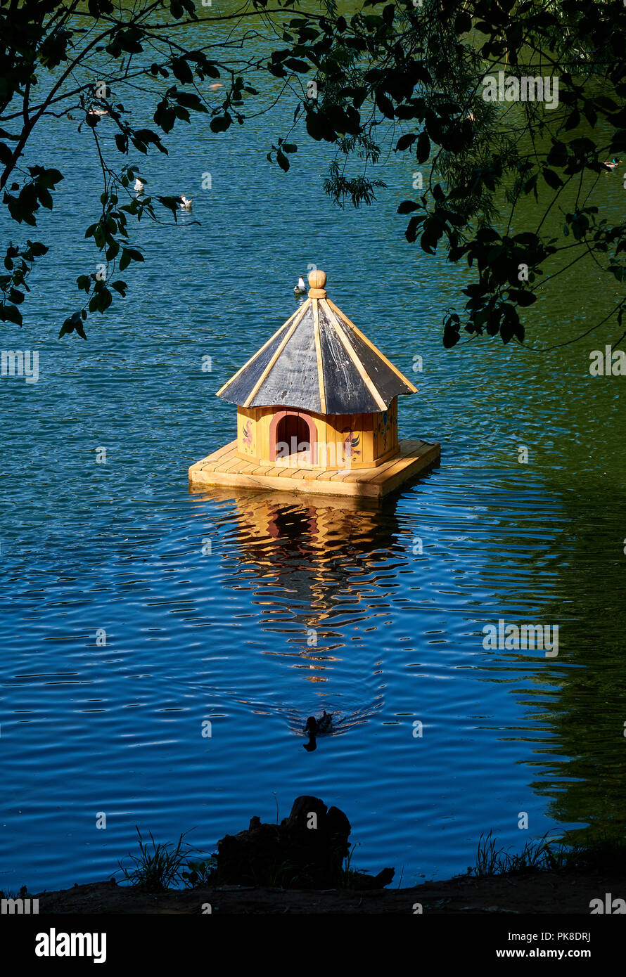 Kleine hölzerne birdhouse mit einem wunderschönen Gemälde in der Mitte eines Sees durch Zweige und Blätter an der sonnigen Sommertag umgeben Stockfoto