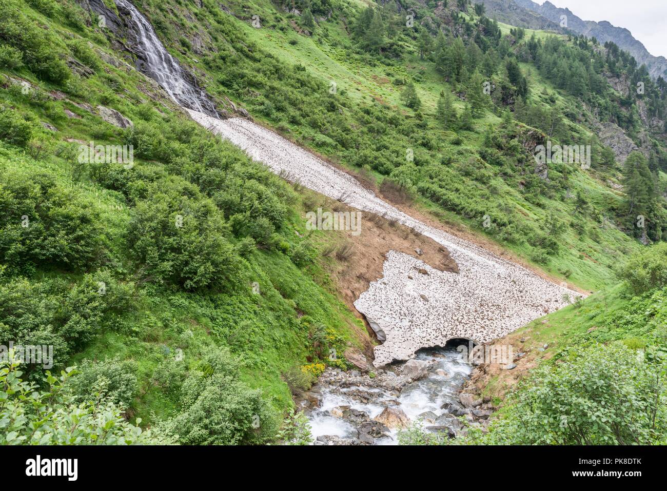 Bleibt der Eis- und Schneedecke über einem Bergbach im Sommer, Österreich Stockfoto