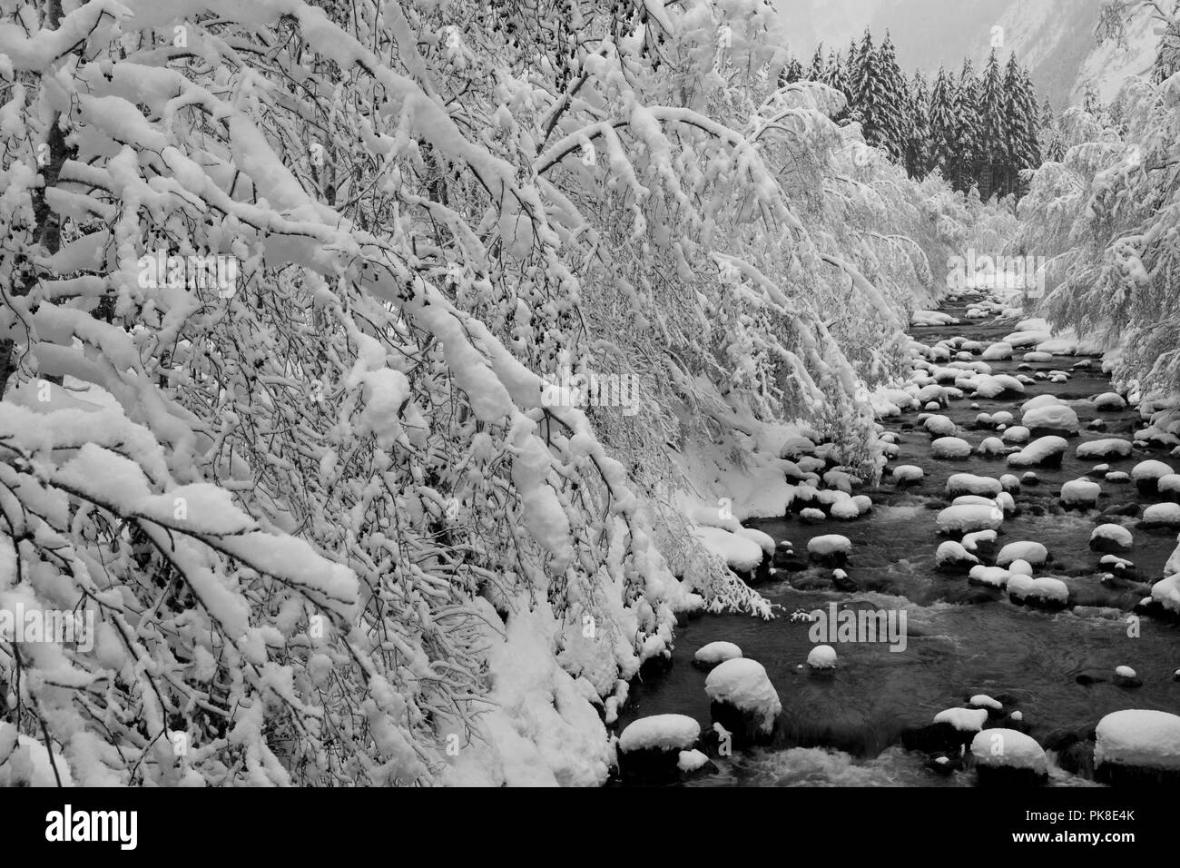 Diesem Artikel Neuschnee in der sulzau, Pinzgau, Österreich Stockfoto