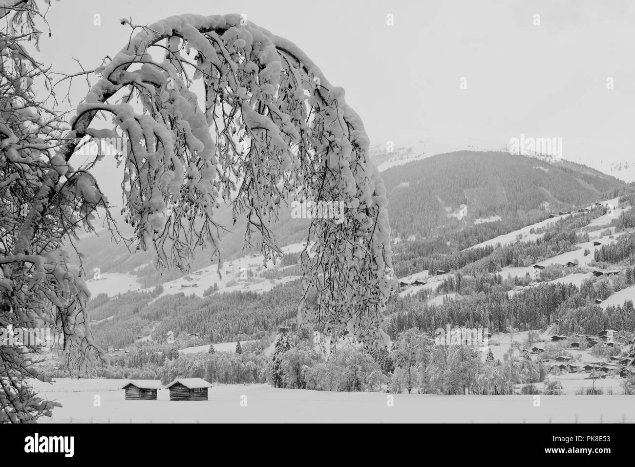 Spaziergang nach heftigen Schneefällen am Untersulzbach Stockfoto