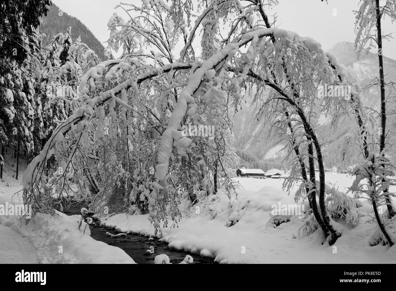 Spaziergang nach heftigen Schneefällen am Untersulzbach Stockfoto