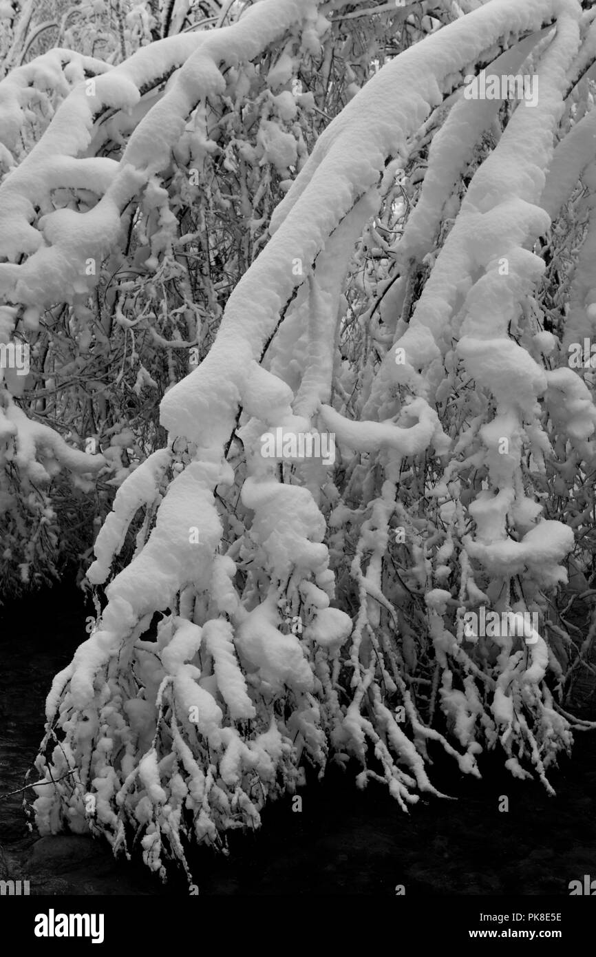 Spaziergang nach heftigen Schneefällen am Untersulzbach Stockfoto