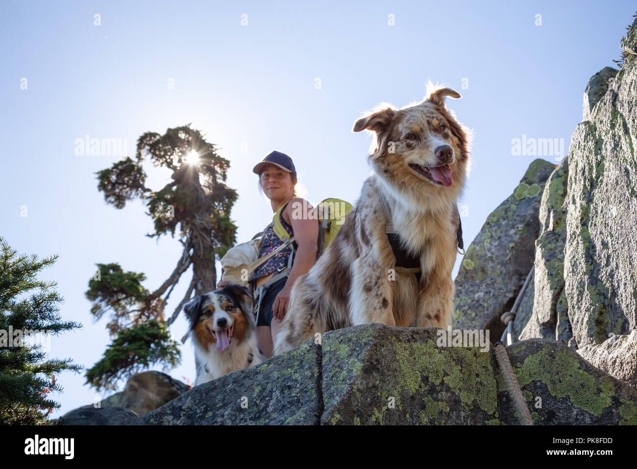 Frau und Hunde sind Wandern während einer lebhaften Sommertag. In Howe Sound, in der Nähe von Vancouver, BC, Kanada. Stockfoto