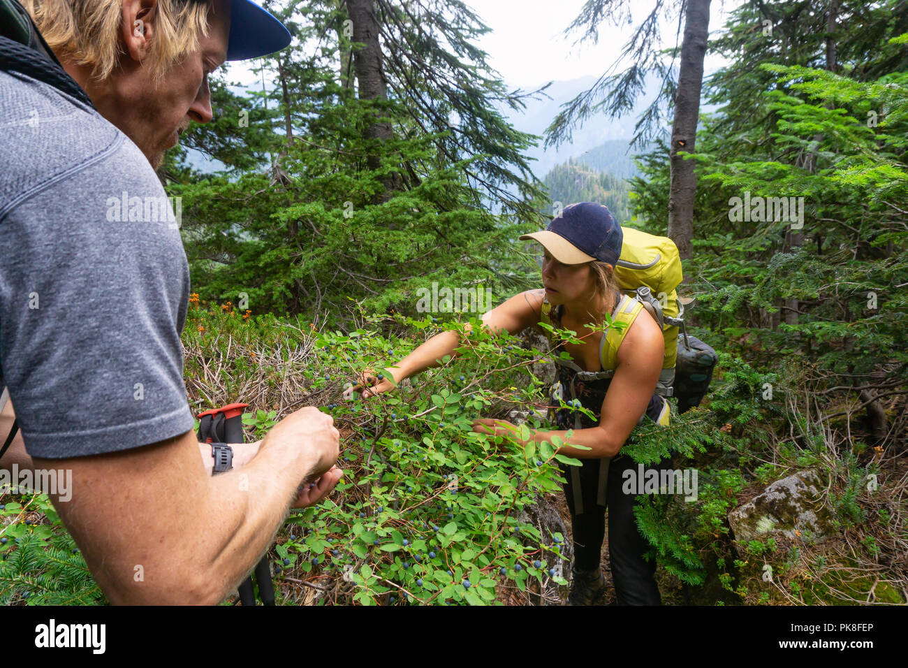 Paar Freunde essen wilde Beeren im Wald. Auf Howe Sound Crest Trail, in der Nähe von Vancouver, BC, Kanada. Stockfoto