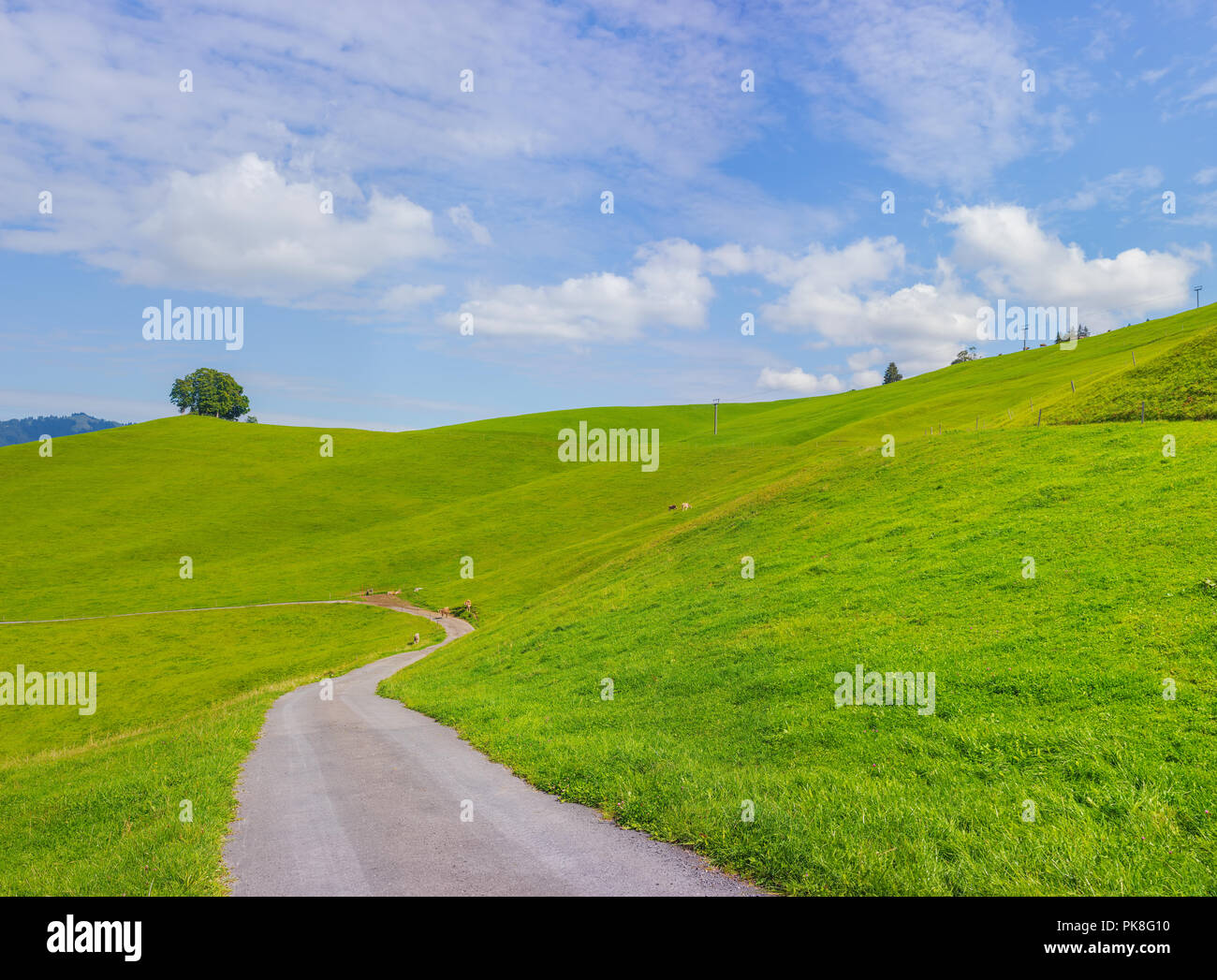 Blick in die Stadt von Einsiedeln in der Schweiz im Herbst. Einsiedeln ist eine Gemeinde im Schweizer Kanton Schwyz, für sein Kloster bekannt - die Ben Stockfoto