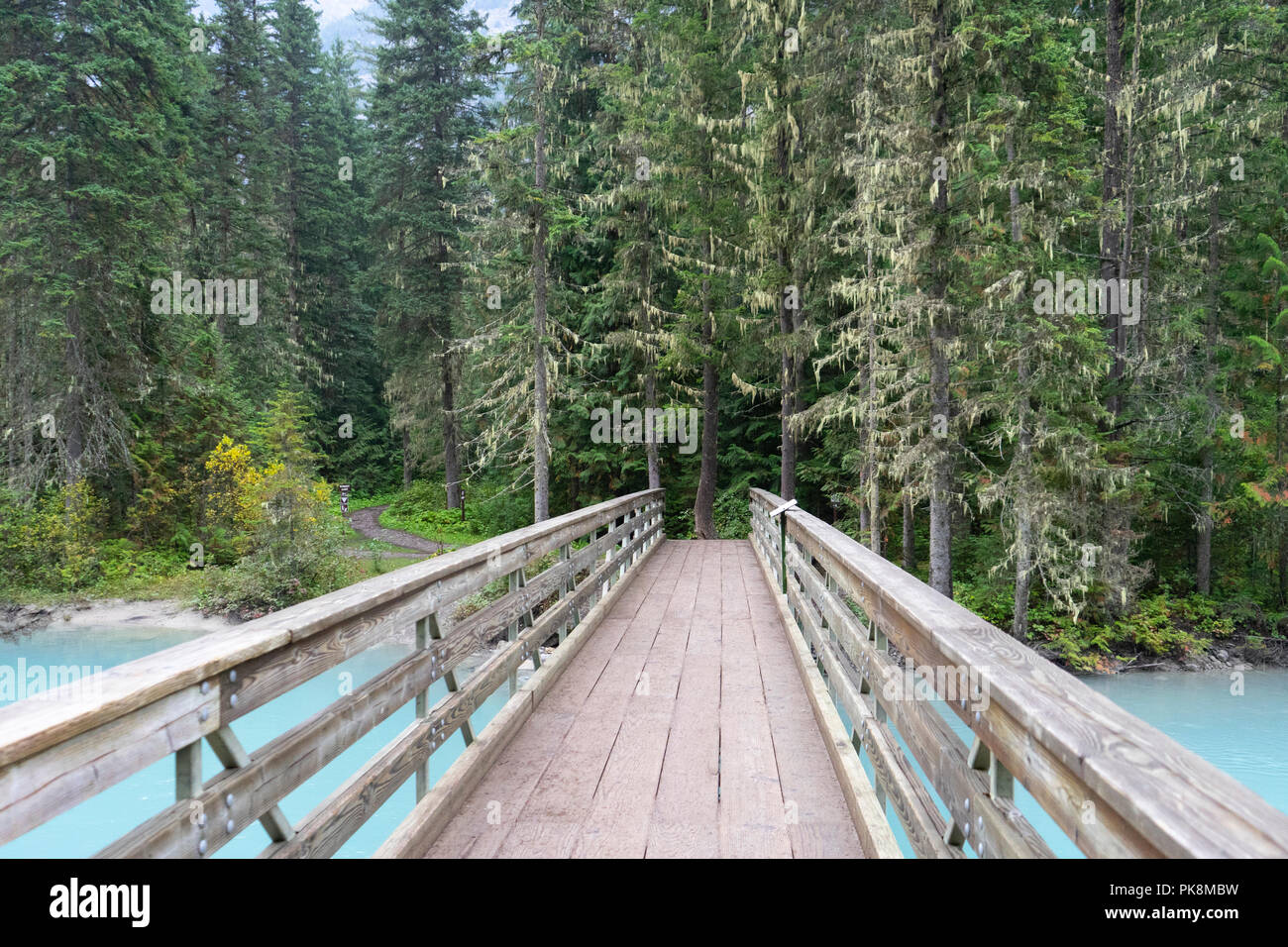 Eine Brücke auf dem Berg Lake Trail, Mount Robson, British Columbia. Stockfoto