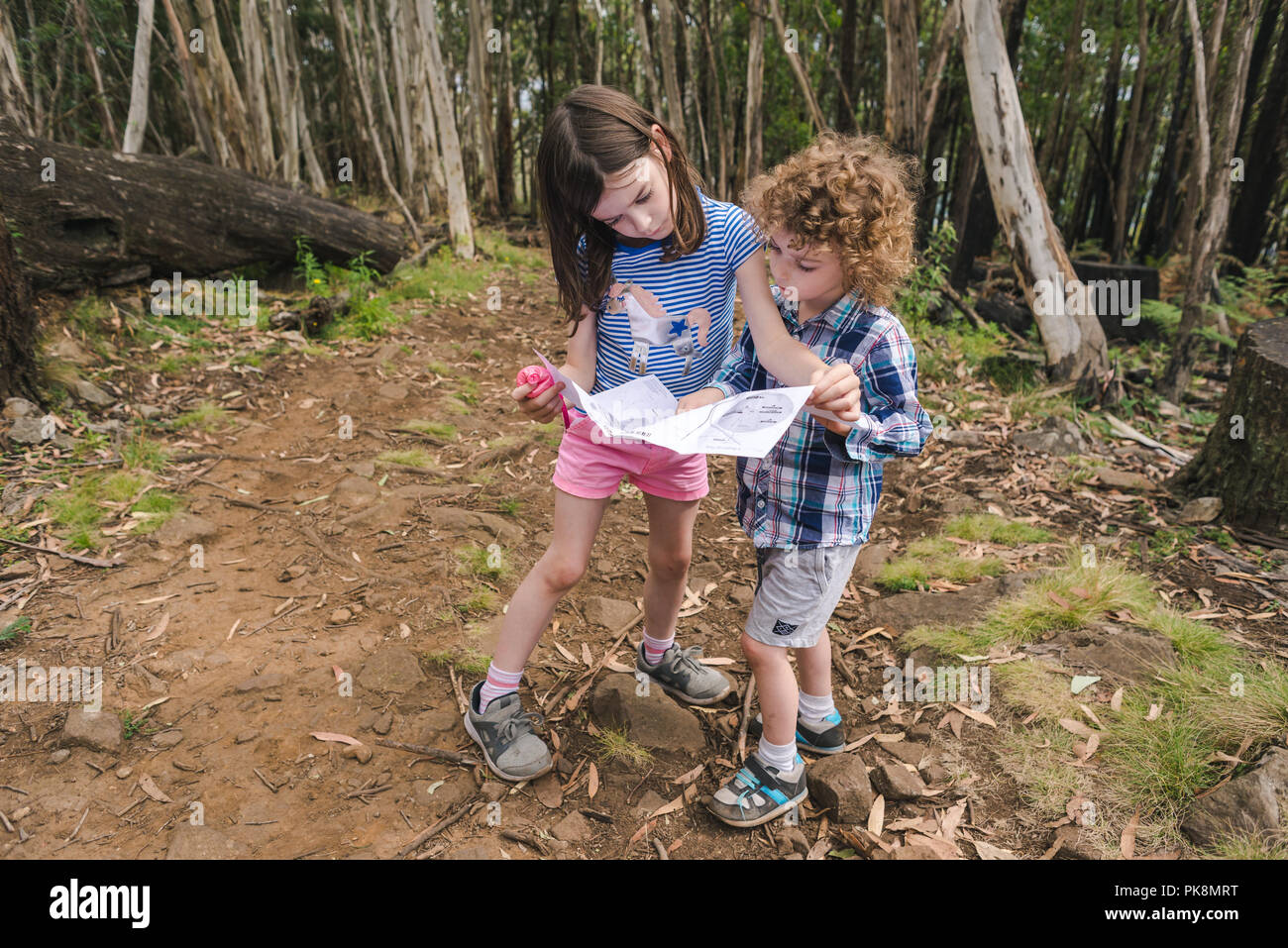 Junge Kinder Lesen einer Karte auf einem Busch trail Kinder Lesen einer Karte im Wald Stockfoto
