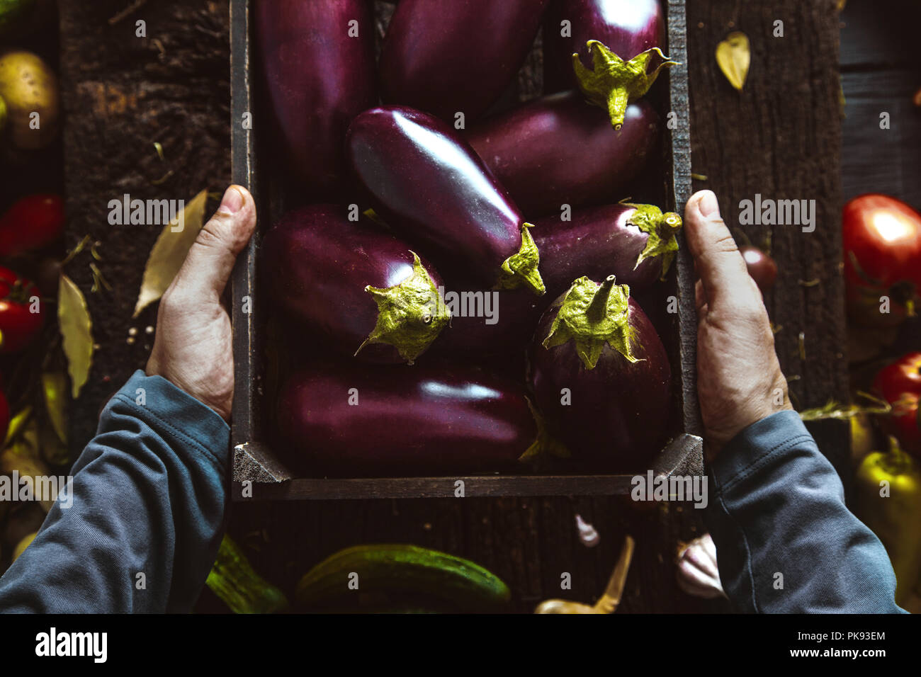 Bio Gemüse. Bauern Hände mit frisch geernteten Gemüse. Frische organische Ei Anlage. Stockfoto