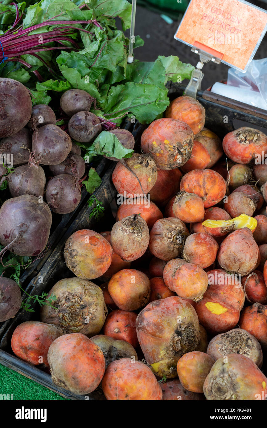 Golden rote Beete zum Verkauf auf einem Gemüse in Stroud Farmers Market Stall. Stroud, Gloucestershire, England Stockfoto