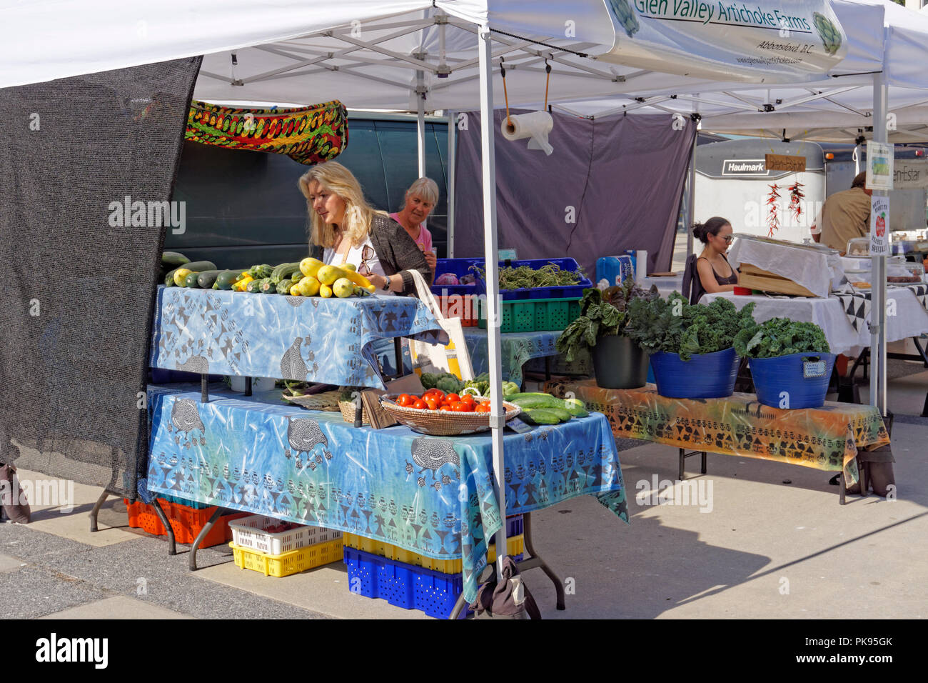 Frau Einkaufen für Gemüse im Downtown Farmers Market, Queen Elizabeth Theatre Plaza, Vancouver, BC, Kanada Stockfoto