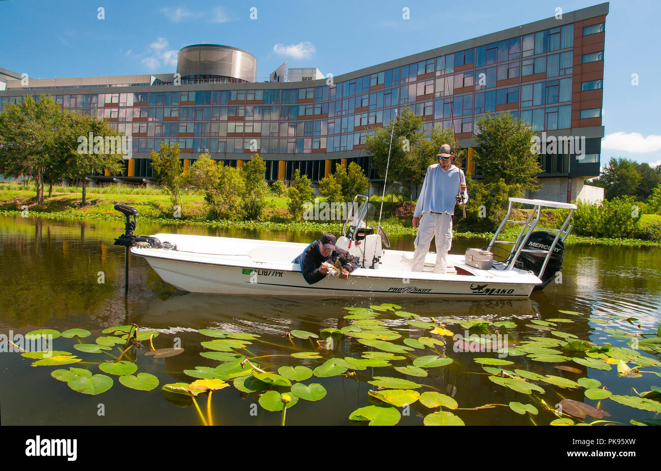 Phosphat Gruben sind einige der oberen Largemouth bass Gewässern in Florida. Viele riesen Schwimmen im seichten Gewässer mit dichter Vegetation. Stockfoto