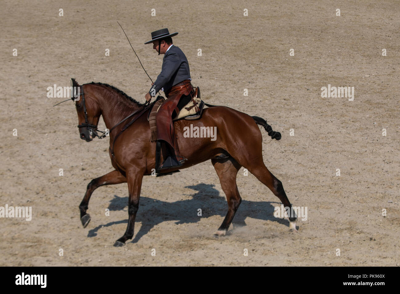 Traditionelle andalusische Reiter in der Manege Stockfoto