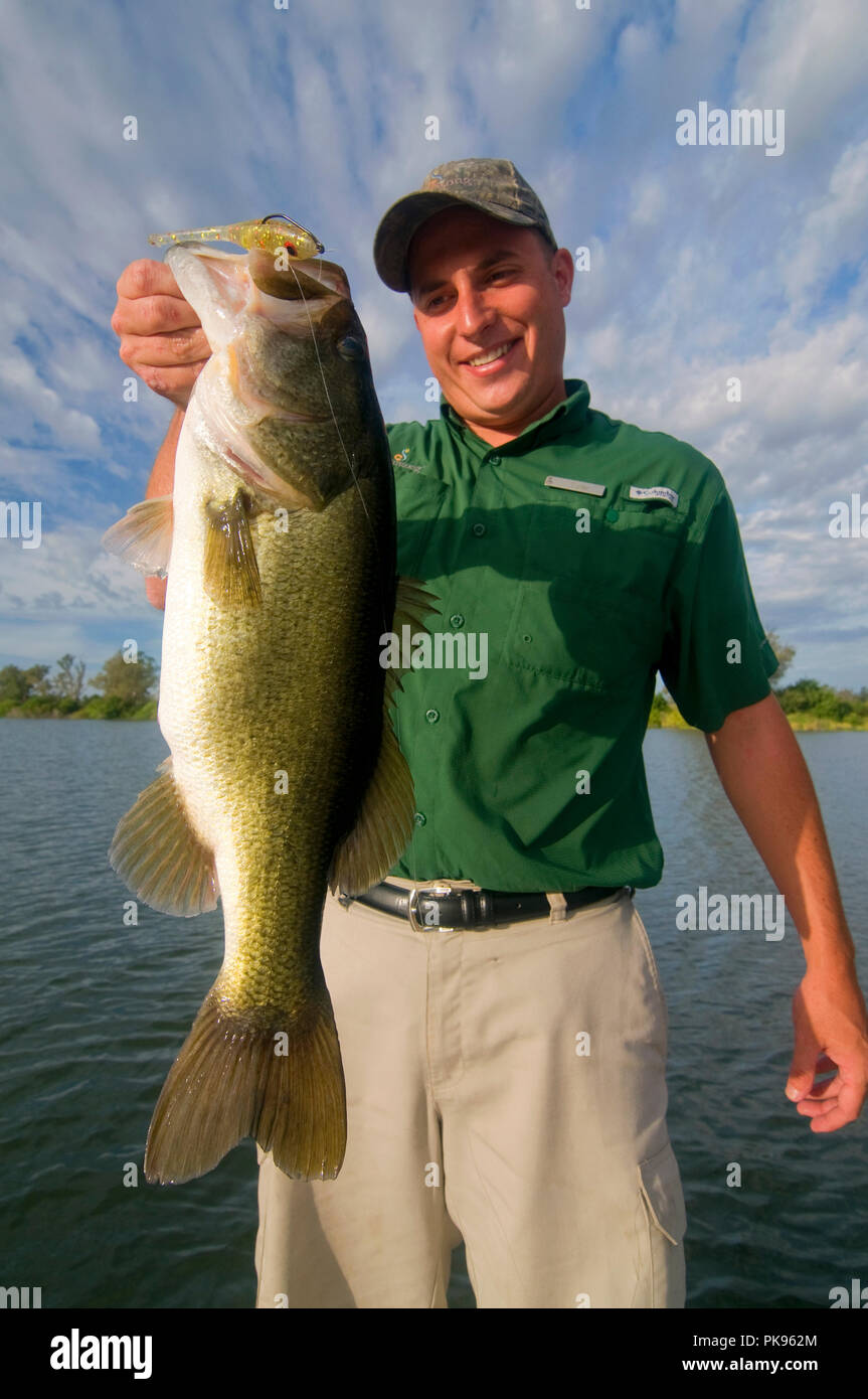 Phosphat Gruben sind einige der oberen Largemouth bass Gewässern in Florida. Viele riesen Schwimmen im seichten Gewässer mit dichter Vegetation. Stockfoto