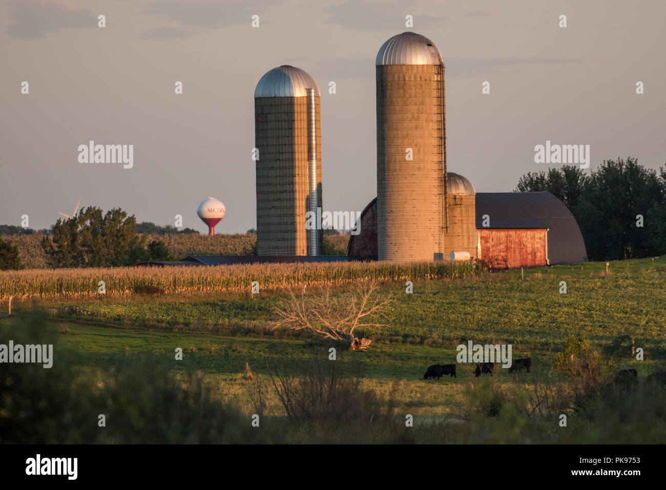 Eine Scheune und Silos am Abend, als die Sonne in der Nähe von Horicon Marsh, WI. Stockfoto