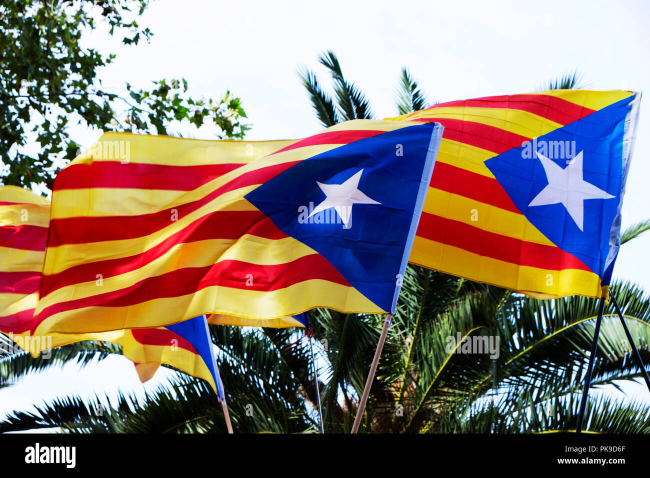 Nahaufnahme von einigen estelada, die katalanische Unabhängigkeit Flagge, das Weben in den Himmel Stockfoto