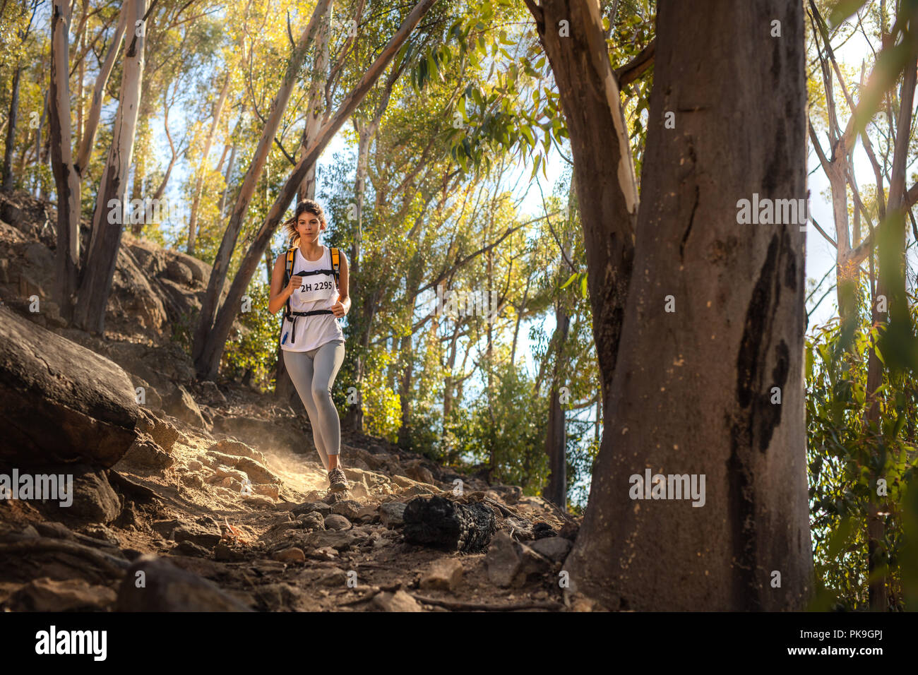 Gesunde weibliche Läufer in die Hügel mit Bäumen im Hintergrund. Passen Trail Runner im Mountain Trail Marathon. Stockfoto