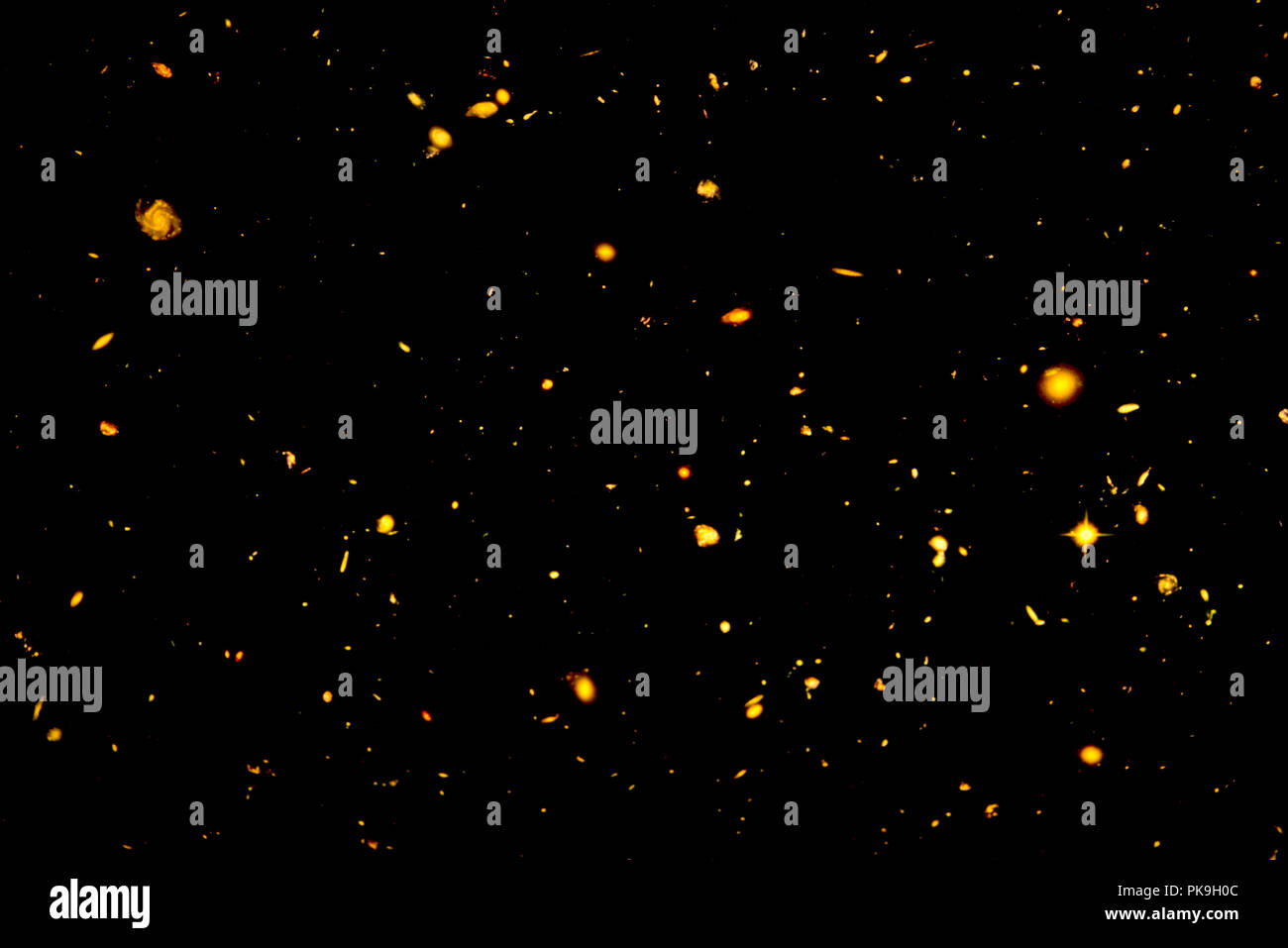 Sterne und Galaxien Stockfoto