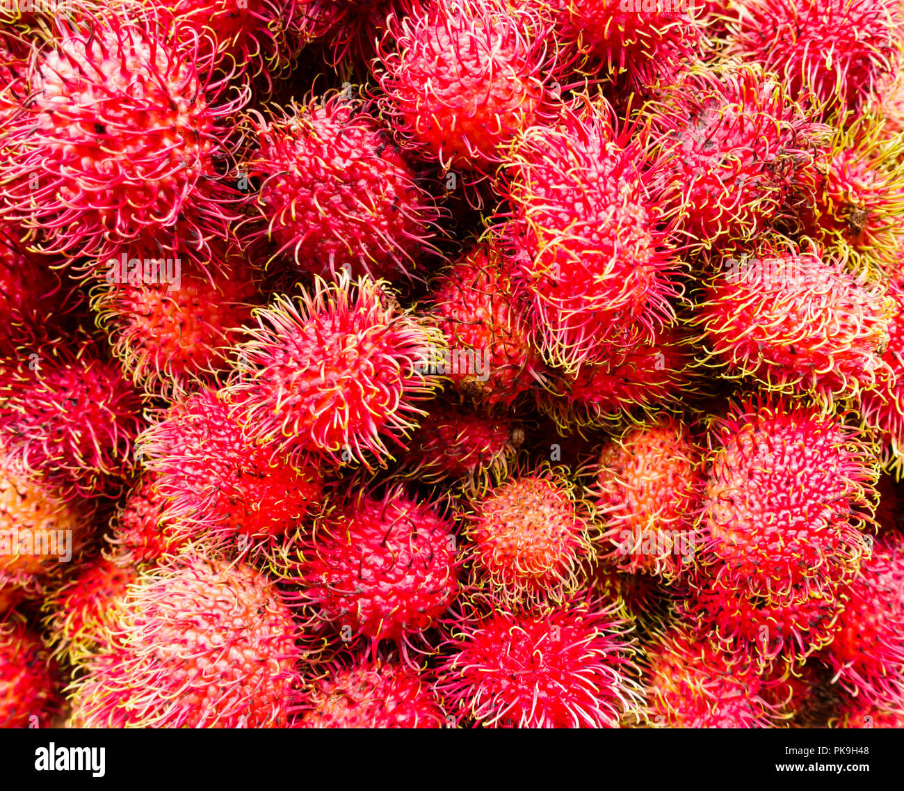 In der Nähe des frischen asiatischen Indonesischen rambutan tropische Früchte hervorbringen zum Verkauf auf einem Markt in Chinatown, New York City, United States, USA Stockfoto