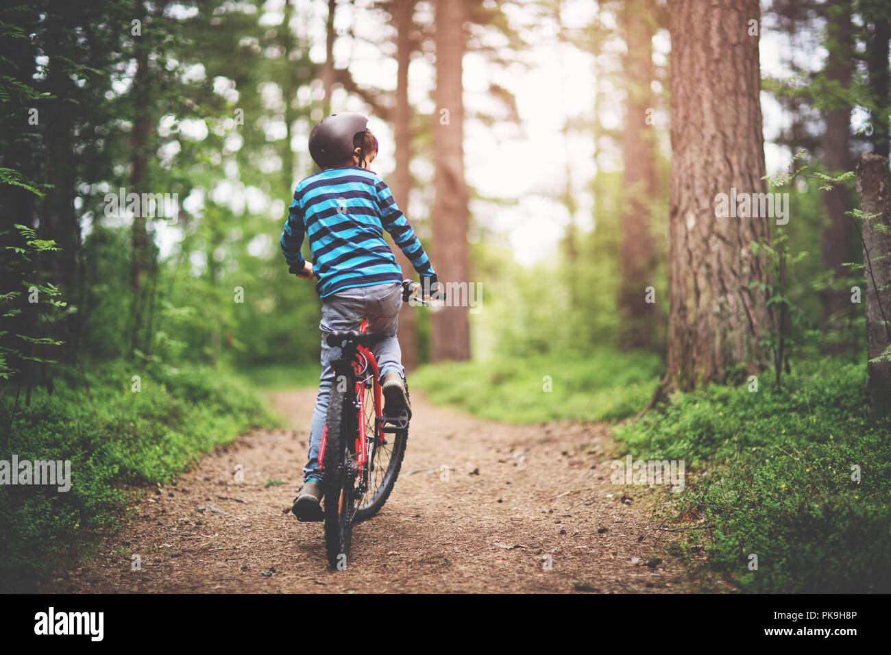 Kind auf dem Fahrrad in den Wald am frühen Morgen Stockfoto