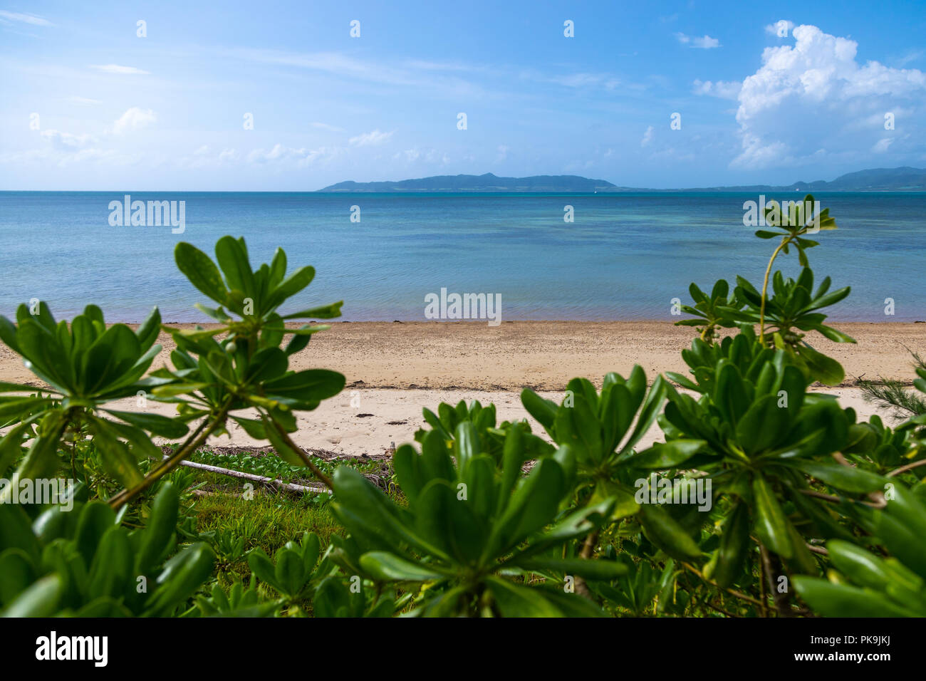 Salz Strand, yaeyama Inseln, Ishigaki-jima, Japan Stockfoto