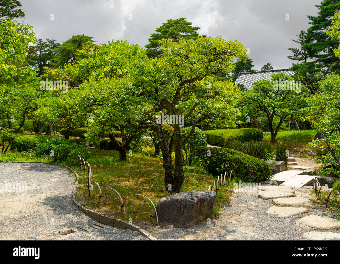 Plum Grove in Kenroku-en Garten, Präfektur Ishikawa, Kanazawa, Japan Stockfoto