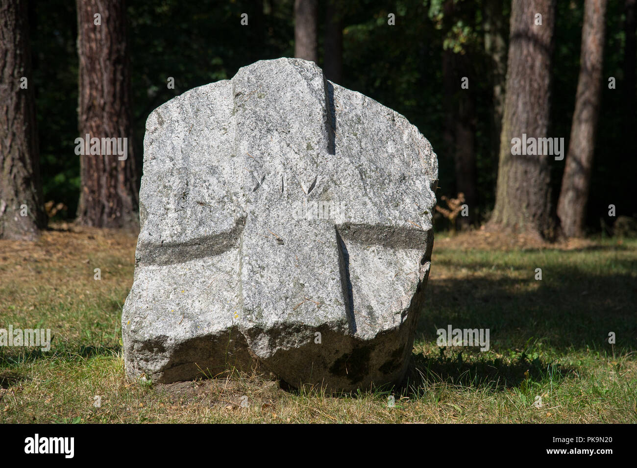 Eine von mindestens 39 Massengräber von 5000 bis 7000 Zivilisten, meist polnischen Intellektuellen (nationale Aktivisten, Lehrer, Priester) von Kociewie, Kaschubei ein Stockfoto