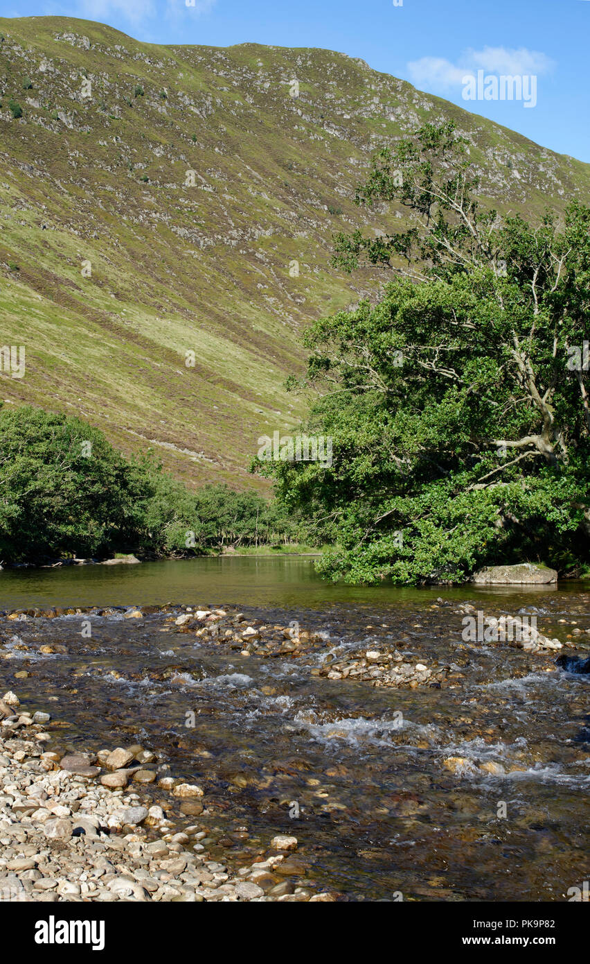 River Almond, SMA "Glen, Perth and Kinross, Schottland Klippen Der Scurran hinter Stockfoto
