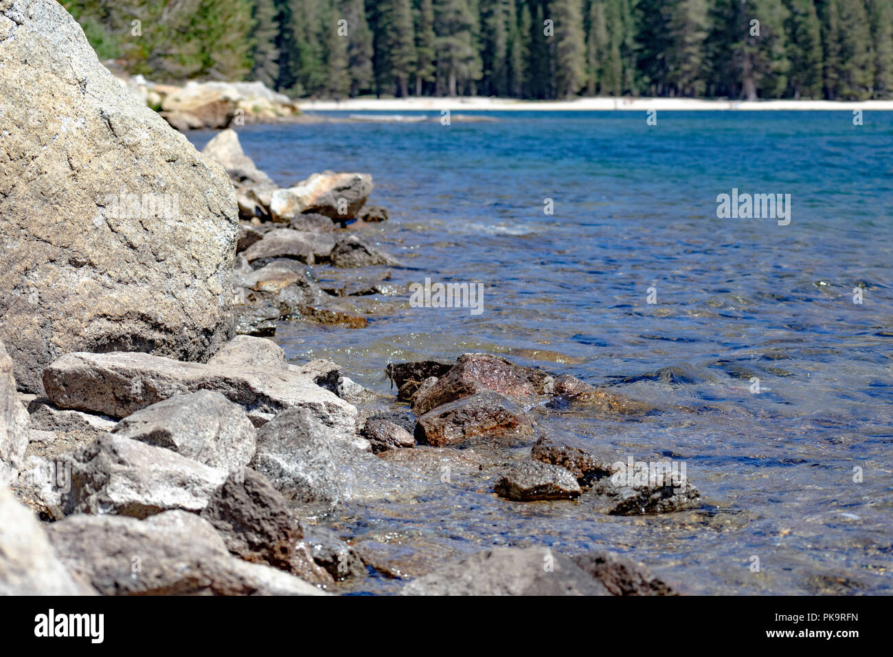 Felsen und Seeblick am Tenaya Lake im Yosemite National Park Stockfoto