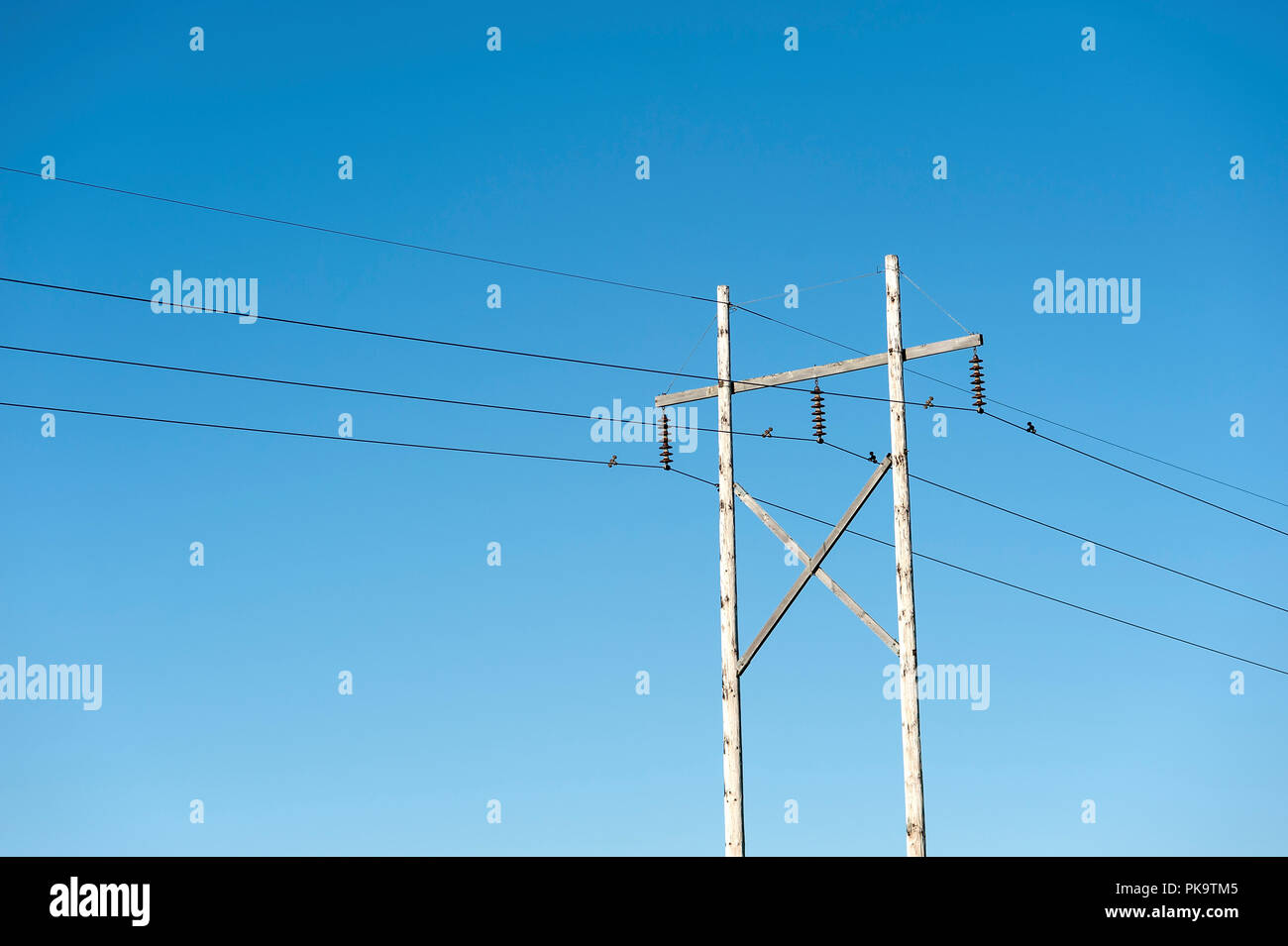 Hydro Drähte auf Holzpfähle Stockfoto
