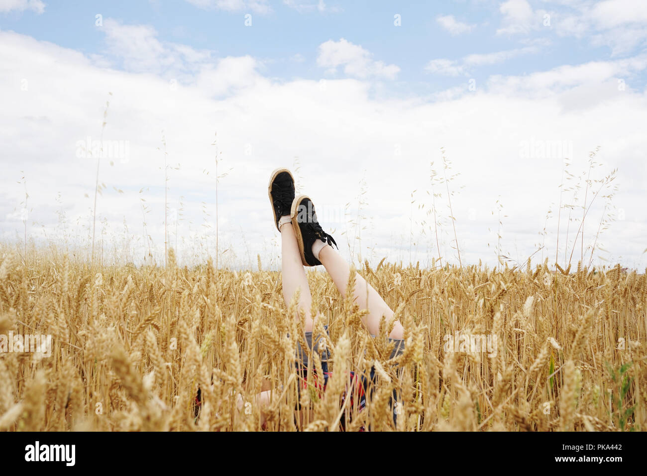 Kind angehoben Beine über ein Weizenfeld in sonniger Tag des Sommers Stockfoto