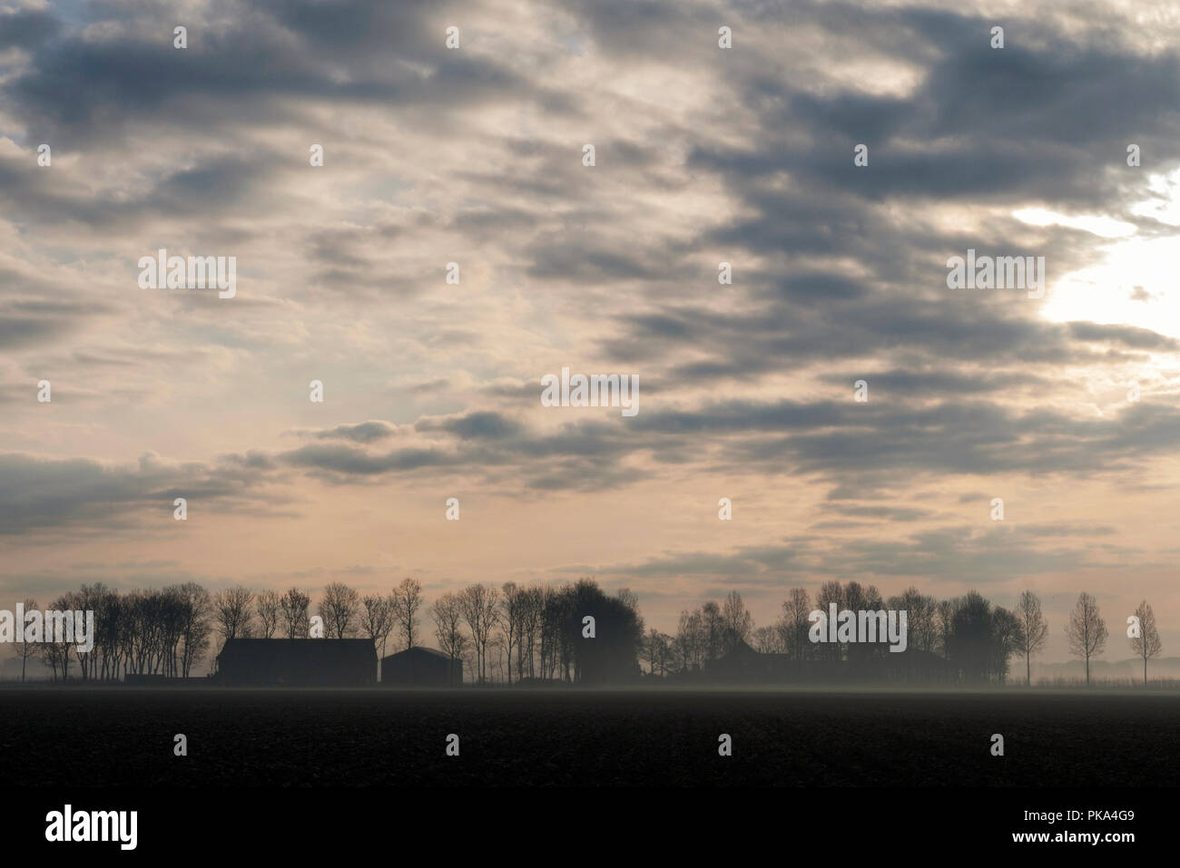 Natur entlang der Autobahn A6 Stockfoto