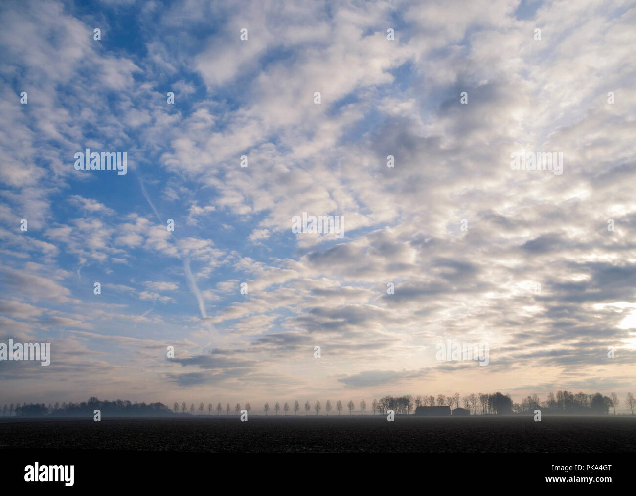 Natur entlang der Autobahn A6 Stockfoto