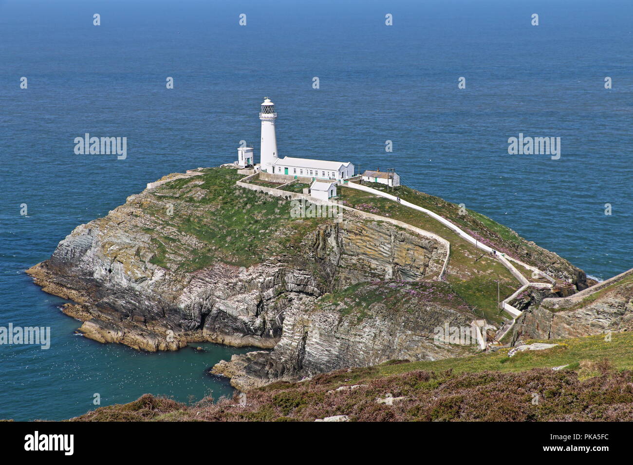 South Stack Lighthouse, Anglesey, Wales, Vereinigtes Königreich Stockfoto