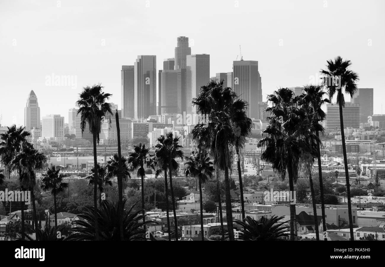 Die Skyline von Los Angeles, Kalifornien, USA. Stockfoto