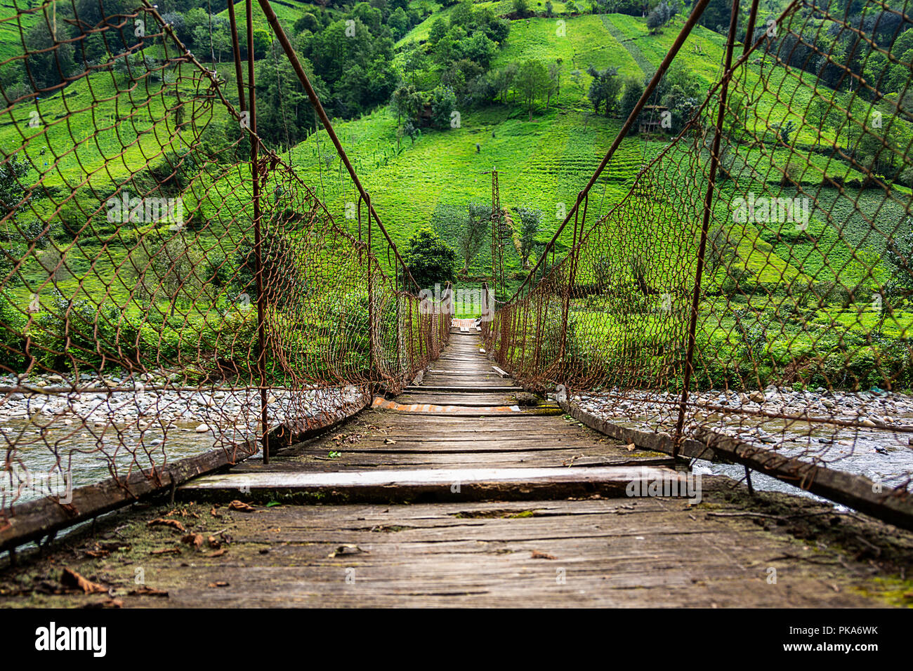 Firtina Bach Seilbrücke, Camlihemsin, Rize, Türkei Stockfoto