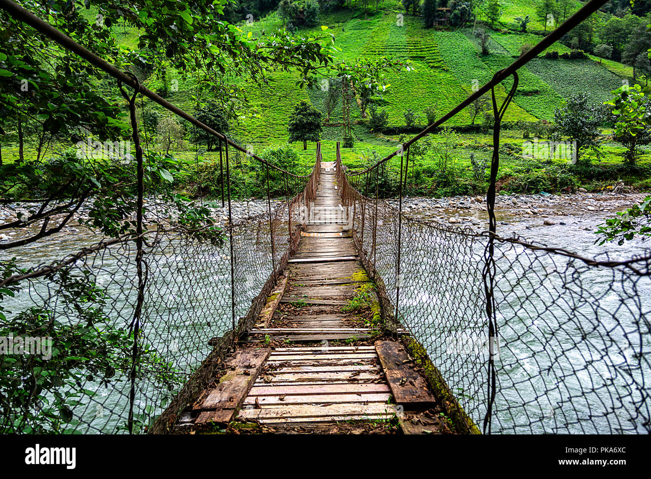 Firtina Bach Seilbrücke, Camlihemsin, Rize, Türkei Stockfoto