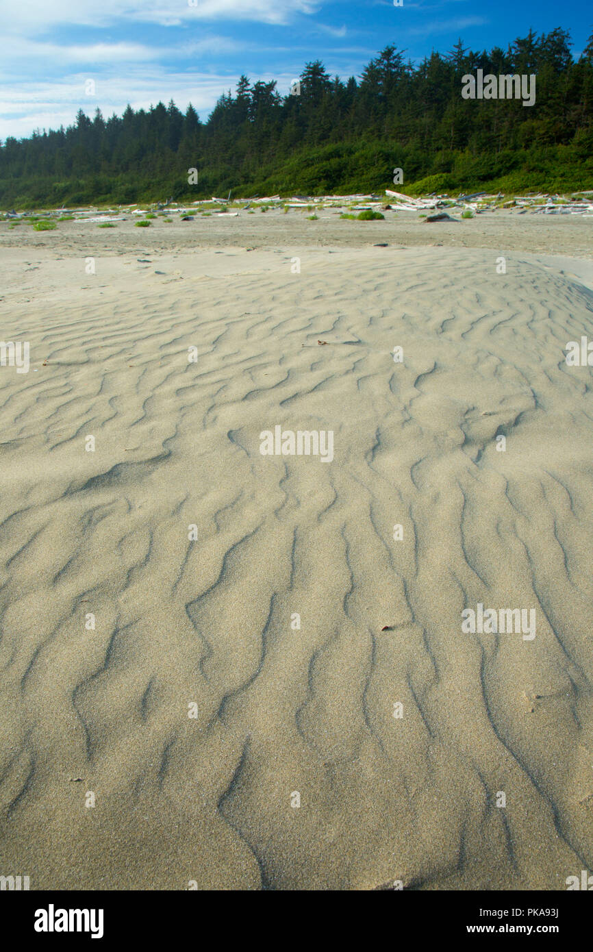 Long Beach, Pacific Rim National Park, British Columbia, Kanada Stockfoto