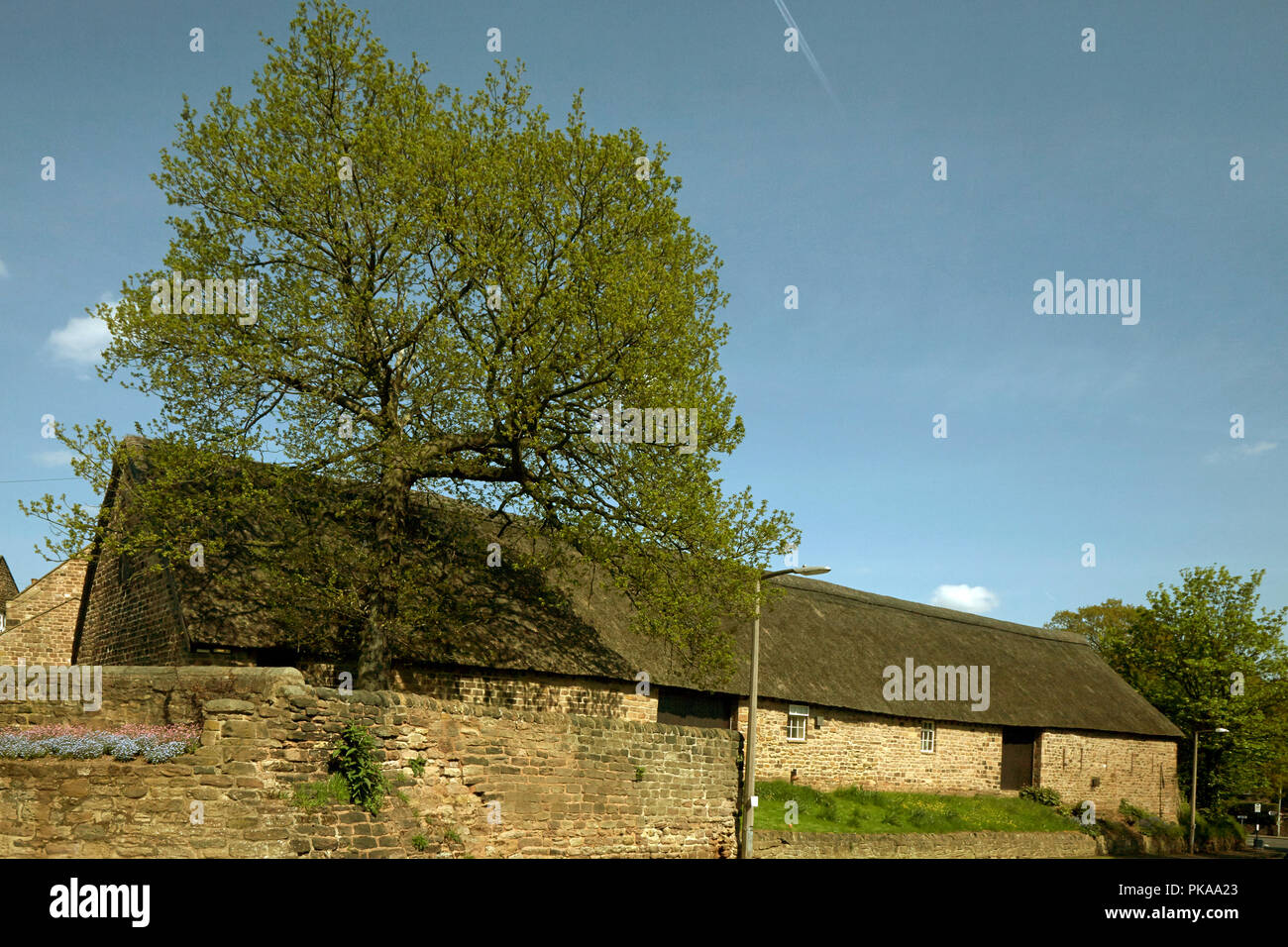 Anfang des 13. Jahrhunderts die herrschaftliche Scheune, Whiston, Rotherham, South Yorkshire, England Stockfoto