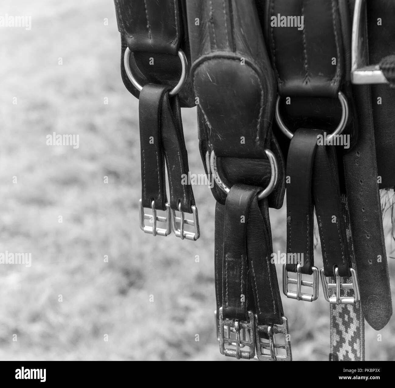 Niagara Polo empfohlene zwei chukker Spiele mit Spielern aus der Toronto Polo Club, traditionelle divot Stomp mit Sekt und halb-Unterhaltung. Stockfoto