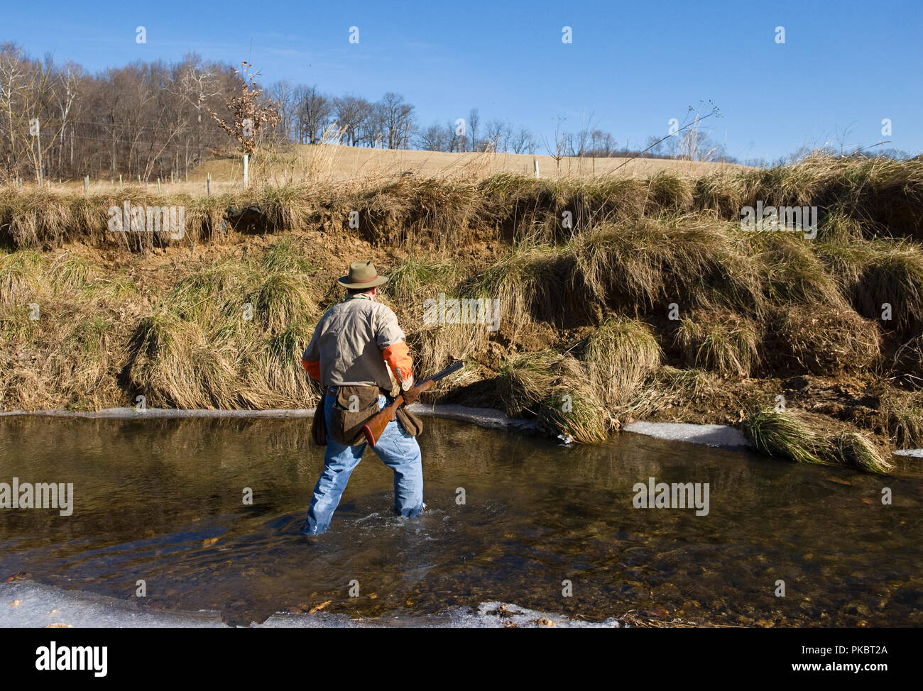 Hochland spiel Vogel Jagd in Loudoun County, Virginia. Stockfoto