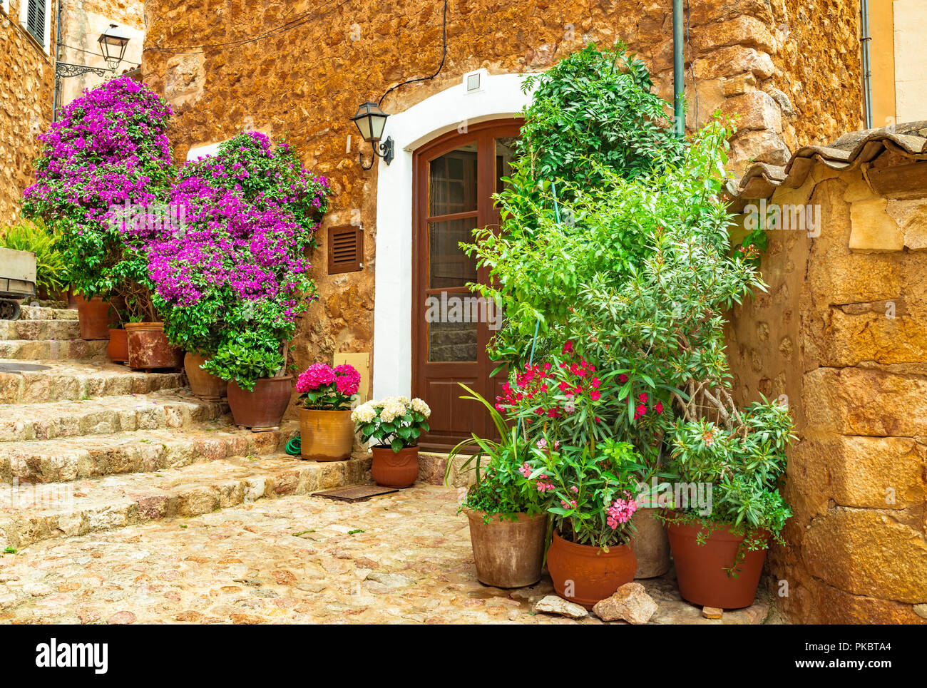 Schöne Blumen Straße im alten Dorf Fornalutx auf Mallorca, Spanien Stockfoto