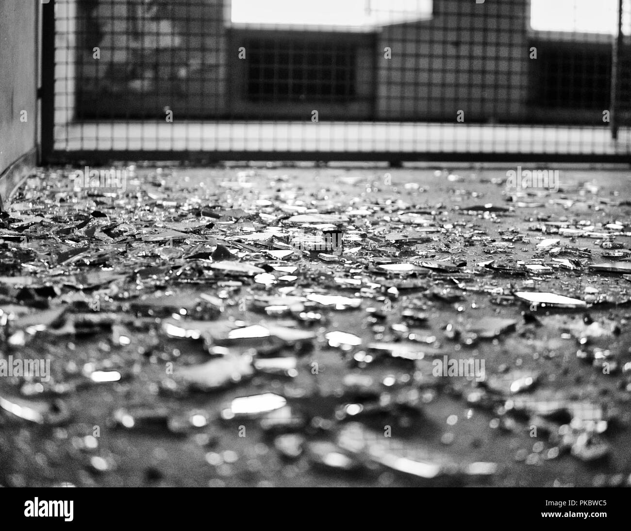 Glassplitter auf dem Boden. Mit Zaun hinter im Hintergrund. Stockfoto