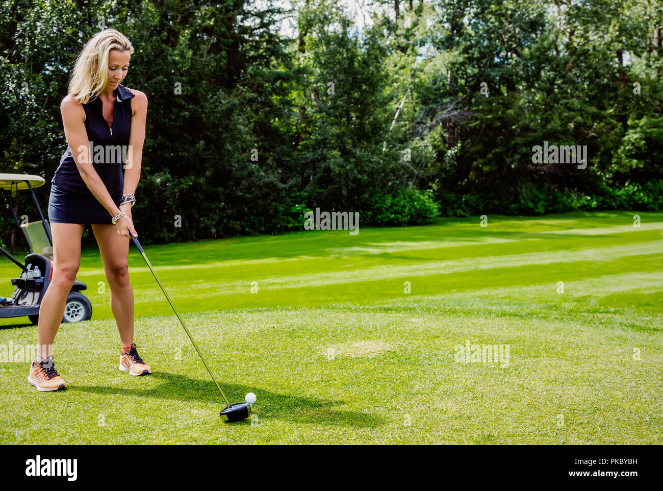 Ein weiblicher Golfspieler Linien ihre Fahrer auf die Golf Ball, als Sie Ihre Aufnahme auf einem T-Stück; Edmonton, Alberta, Kanada Stockfoto