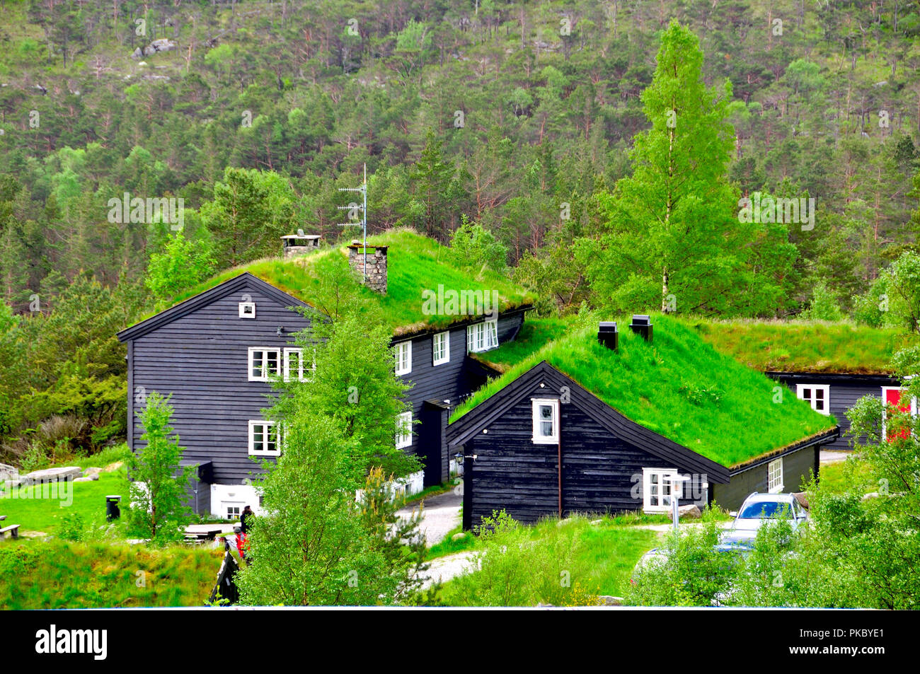 Häuser in Norwegen, wo der Aufstieg zum preikestolen oder pulpìto beginnt Stockfoto