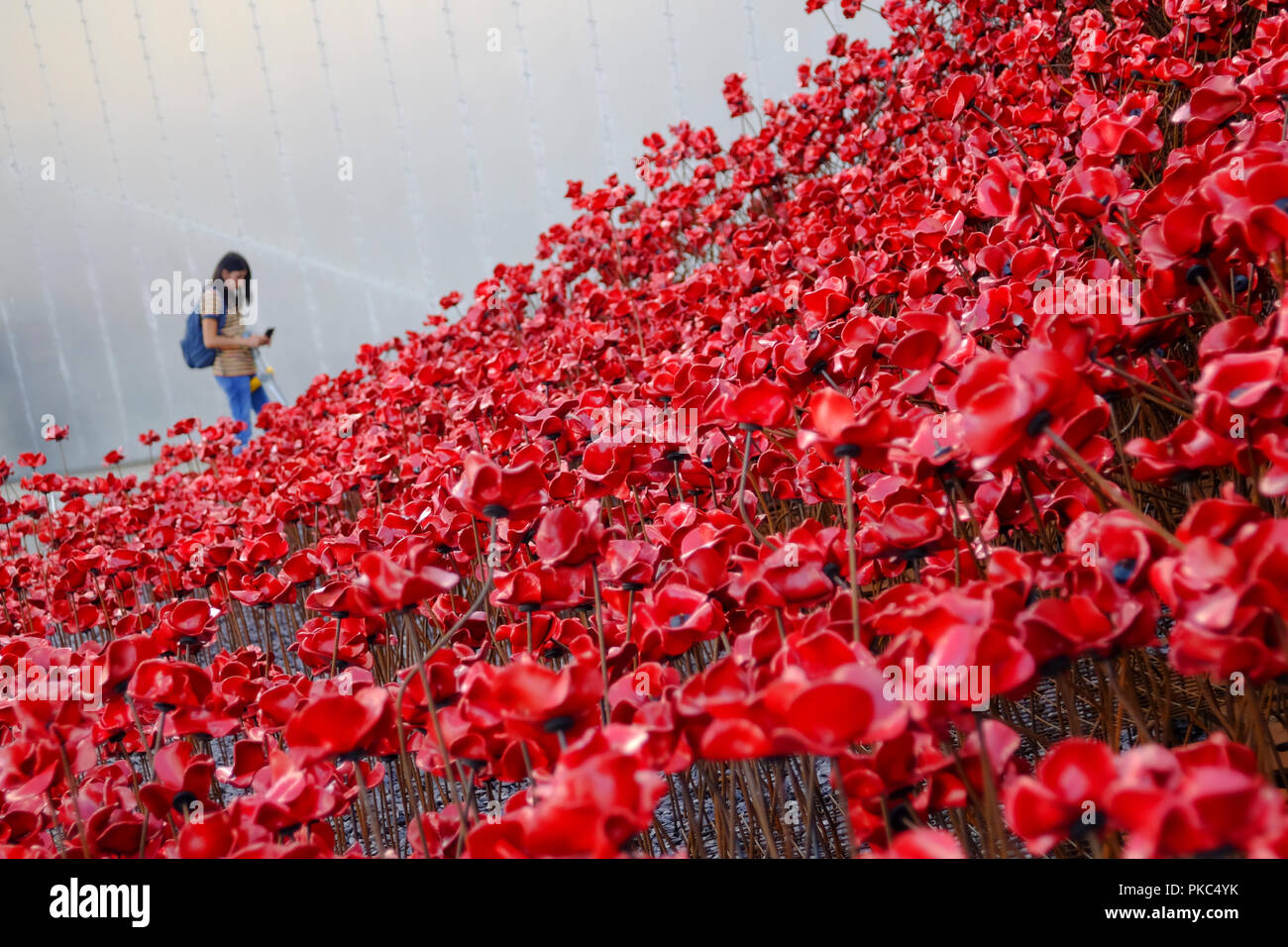 Salford, UK. 12. September 2018. Besucher am Imperial War Museum North Blick auf 'Welle' und 'weinende Fenster' eine Installation des Künstlers Paul Cummins und Installation, der von Tom Piper. Die Installation wurde ursprünglich an der HM Tower von London von August bis November 2014 Wo 888,246 Mohnblumen angezeigt wurden, eine für jeden Britischen oder kolonialen Leben an der Front während des Ersten Weltkrieges verloren. Gemeinsam werden die Skulpturen Wave und Weinende Fenster sind von über 11.000 Mohn gemacht. Credit: Premos/Alamy leben Nachrichten Stockfoto